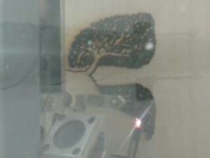 This is the first design of the lungs being cut on the laser cutter, I could see here that the design was too delicate.